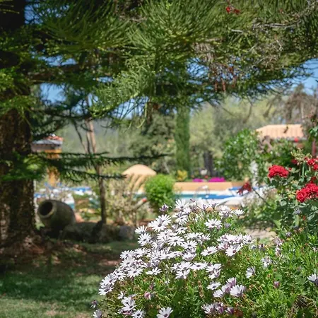 Holiday home Joan Vich I Santa Eularia des Riu